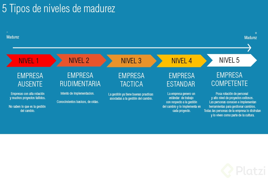 La Curva Del Cambio En Los Individuos Y La Madurez De Las